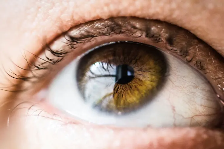 Terapia EMDR para trauma y ansiedad en Pamplona - Centro Psy-Integral Alba